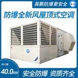 防爆全新风屋顶式空调机制冷量40KW